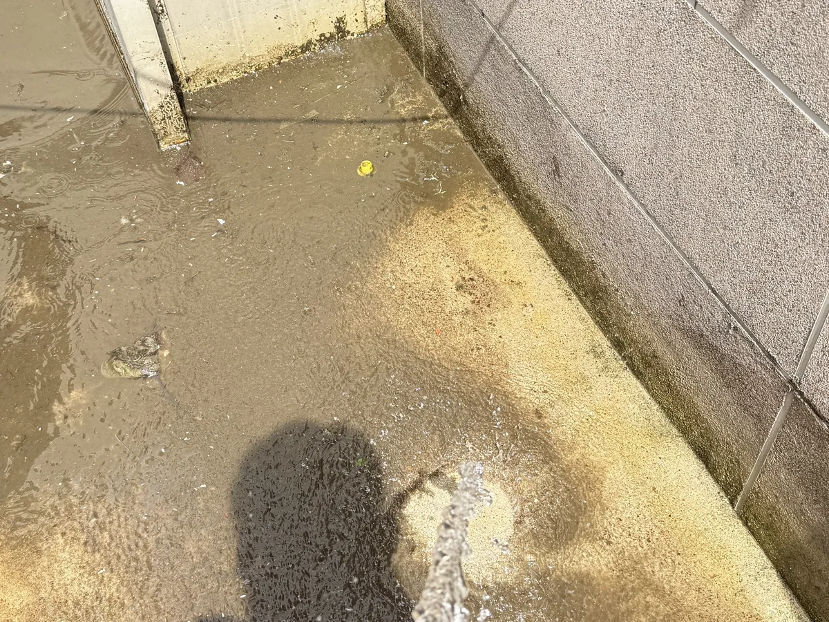 북구 구포동 침수 현장 복도·대기 동선 야간 위생청소 사례 - 행진크린